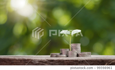 Money tree growing on coins for business growth and business transformation and investment. Money tree growing on coins for business growth and business transformation and investment. 99398961