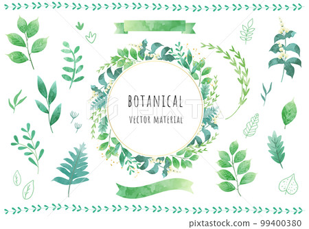 Vector illustration material set of fresh green leaves 99400380