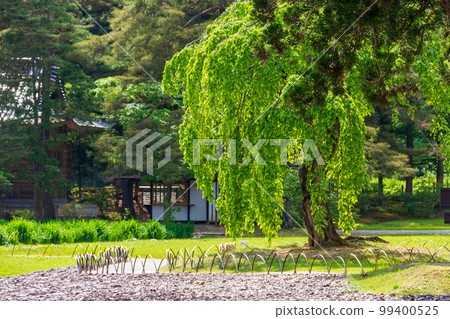 岩手縣西岩井郡平泉毛越寺及其院內 岩手縣西岩井郡平泉毛越寺及其院內 99400525