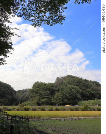 Rural scenery of Kanagawa Jikemachi 99401450