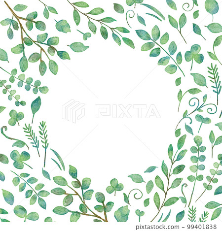 Watercolor illustration frame of green leaves Watercolor illustration frame of green leaves 99401838