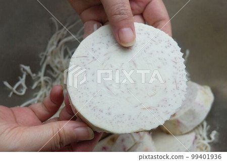 Hand Holding Fresh Cut Taro Roots Hand Holding Fresh Cut Taro Roots 99401936