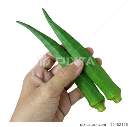 Hand Holding Fresh Okra Before Cooking 99402138