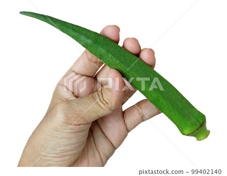 Hand Holding Fresh Okra Before Cooking 99402140