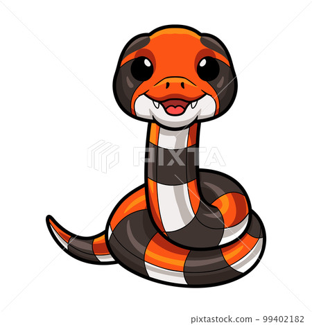 Cute cape coral snake cartoon Cute cape coral snake cartoon 99402182