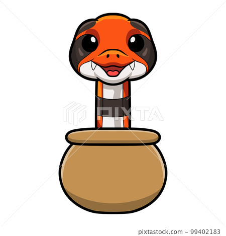 Cute cape coral snake cartoon inside the sack Cute cape coral snake cartoon inside the sack 99402183