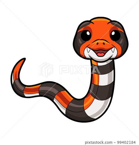 Cute cape coral snake cartoon Cute cape coral snake cartoon 99402184