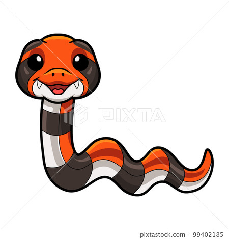Cute cape coral snake cartoon 99402185