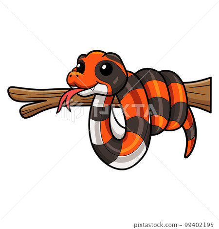 Cute cape coral snake cartoon on tree branch Cute cape coral snake cartoon on tree branch 99402195