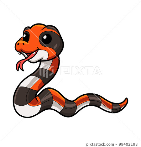 Cute cape coral snake cartoon Cute cape coral snake cartoon 99402198