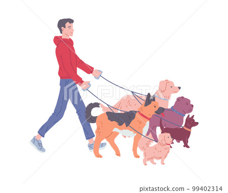 Man working as dog walker or pet sitter, hand drawn flat vector illustration isolated on white background. 99402314