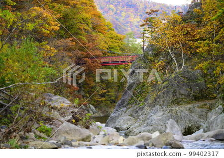 北海道定山溪的“二見吊橋”和紅葉 99402317