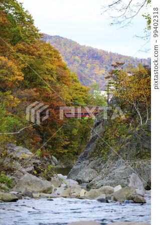 "Futami Suspension Bridge" and autumn leaves in Jozankei, Hokkaido "Futami Suspension Bridge" and autumn leaves in Jozankei, Hokkaido 99402318
