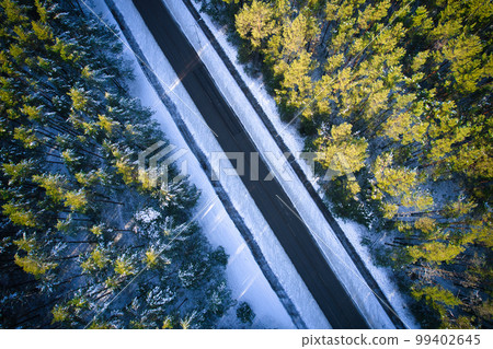Drone view of road and forest in golden time Drone view of road and forest in golden time 99402645