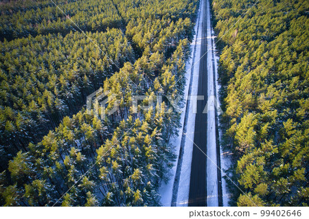 Drone view of road and forest in golden time Drone view of road and forest in golden time 99402646