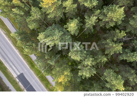 Drone view of road and forest in golden time Drone view of road and forest in golden time 99402920