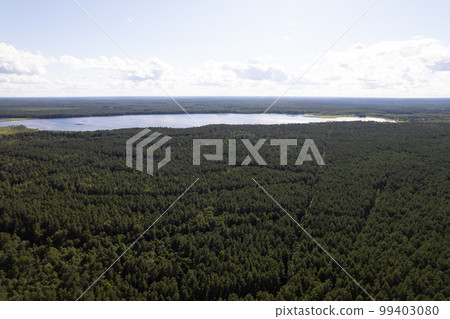 Drone aerial shot of green pine forests and spring birch groves with beautiful texture of golden treetops. Sunrise in springtime. Sun rays breaking through trees in mountains in golden time Drone aerial shot of green pine forests and spring birch groves with beautiful texture of golden treetops. Sunrise in springtime. Sun rays breaking through trees in mountains in golden time 99403080