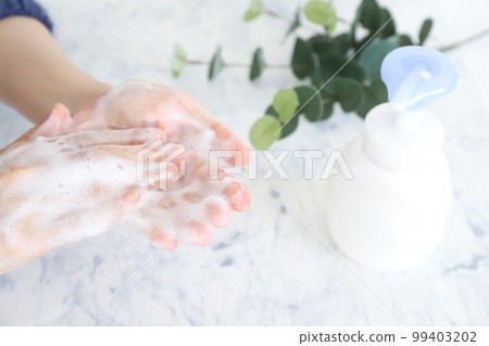 用洗手液洗手 用洗手液洗手 99403202