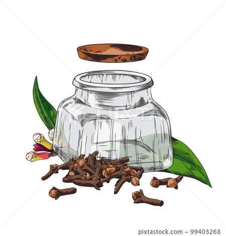 Hand drawn opened glass jar and clove spice sketch style Hand drawn opened glass jar and clove spice sketch style 99403268