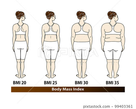 一個年輕漂亮女人的後視圖 BMI（身體質量指數）按指數劃分的身體類型列表 插圖向量 99403361