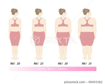 一個年輕漂亮女人的後視圖 BMI（身體質量指數）按指數劃分的身體類型列表 插圖向量 99403362
