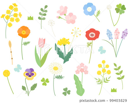油菜花、櫻花、含羞草等春花插圖集 99403829