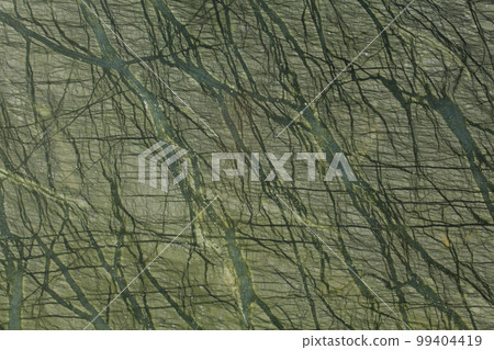 Green marble texture background, natural breccia marbel tiles for ceramic wall and floor, Emperador premium italian glossy granite slab stone ceramic tile, polished quartz, Quartzite matt limestone. 99404419