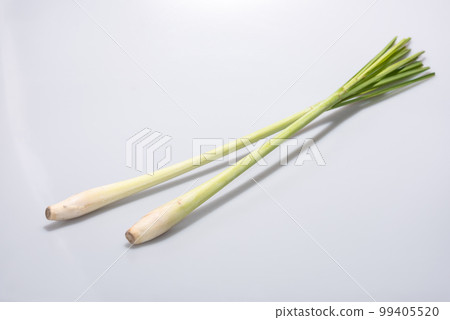 Lemongrass on white background ,Fresh Lemongrass-Thai herbs. 99405520