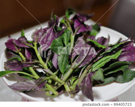 Kaga Vegetable Kintoki 99405723