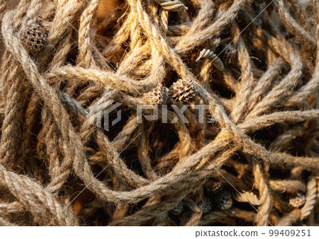 Rope texture. Rustic background. Twine strand pile. Beige brown frayed twisted cotton cord conifer cones abstract decorative composition. Rope texture. Rustic background. Twine strand pile. Beige brown frayed twisted cotton cord conifer cones abstract decorative composition. 99409251