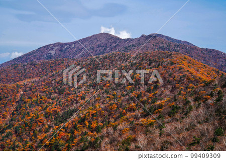 Seoraksan Buk-myeon Inje-gun Gangwon-do 99409309