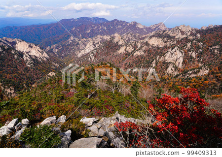 雪嶽山北面麟蹄郡江原道 雪嶽山北面麟蹄郡江原道 99409313