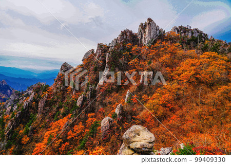 Seoraksan Buk-myeon Inje-gun Gangwon-do 99409330