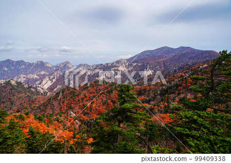雪嶽山北面麟蹄郡江原道 雪嶽山北面麟蹄郡江原道 99409338