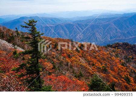 雪嶽山北面麟蹄郡江原道 雪嶽山北面麟蹄郡江原道 99409355
