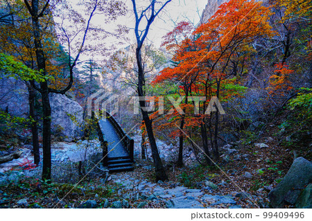 雪嶽山川佛洞溪谷北面麟蹄郡江原道 雪嶽山川佛洞溪谷北面麟蹄郡江原道 99409496