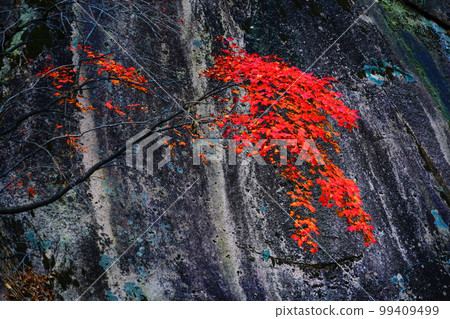 Seoraksancheonbuldong Valley Buk-myeon Inje-gun Gangwon-do Seoraksancheonbuldong Valley Buk-myeon Inje-gun Gangwon-do 99409499