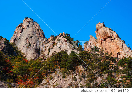 雪嶽山川佛洞溪谷北面麟蹄郡江原道 99409520