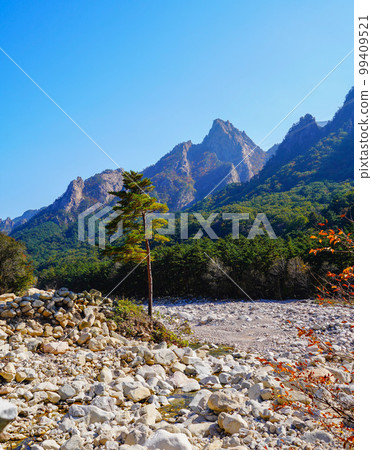 Seoraksancheonbuldong Valley Buk-myeon Inje-gun Gangwon-do 99409521