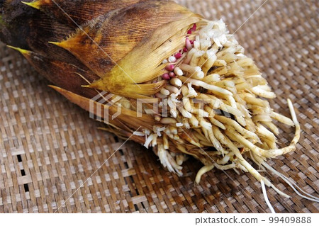 春季代表食材竹筍3 99409888