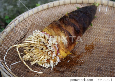 春筍,當季代表食材6 春筍,當季代表食材6 99409891