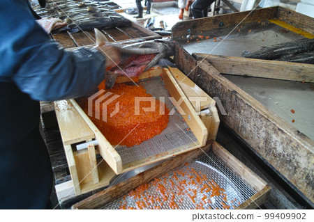 Minowa Salmon Hatchery 99409902