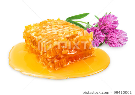 Honeycombs and honey puddle isolated on white background with full depth of field 99410001