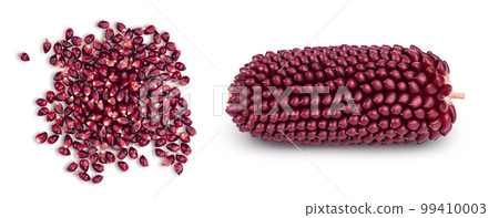 Purple corn or maize seeds isolated on white background with full depth of field. Top view. Flat lay 99410003