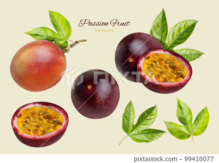 Realistic passion fruit element set Realistic passion fruit element set 99410077