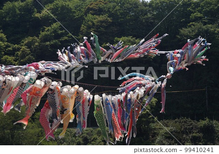 Children's Day tradition Sagami Takada Bridge Approximately 1200 carp streamers Preparations begin and swim in the river and soar into the sky 28 99410241