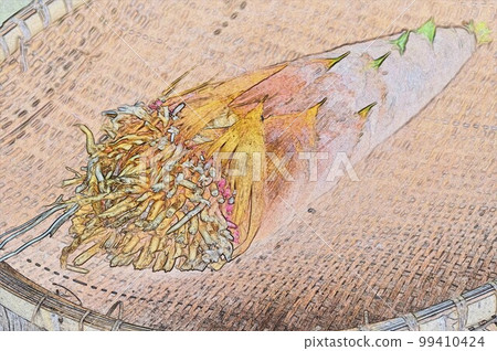 Spring is a seasonal tradition Bamboo shoots CG image illustration 3 Spring is a seasonal tradition Bamboo shoots CG image illustration 3 99410424