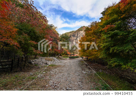 Gangcheonsan Paldeok-myeon Sunchang-gun Jeonnam Gangcheonsan Paldeok-myeon Sunchang-gun Jeonnam 99410455