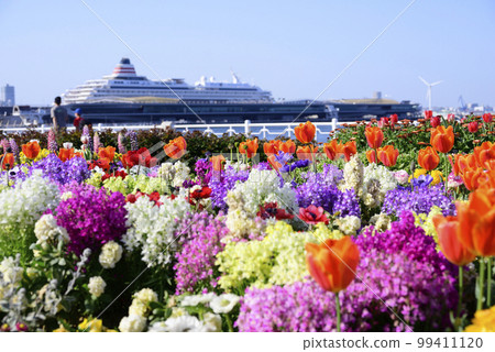 Yokohama Yamashita Park Flower Festival 99411120