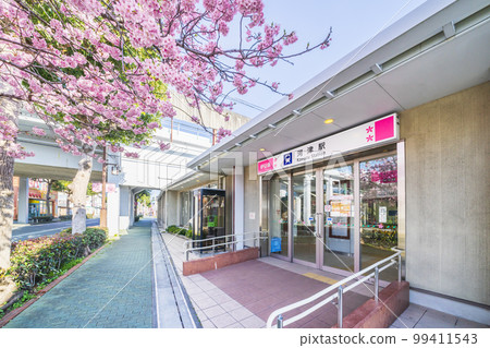 Kawazu station station building and Kawazu cherry blossoms [Shizuoka prefecture, Kamo district, Kawazu town] 99411543